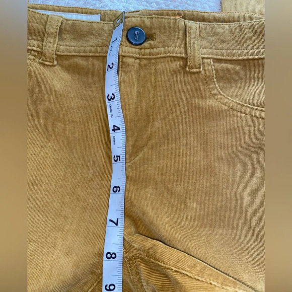 Pilcro & The Letterpress  Cord Pants - Picture 4 of 8